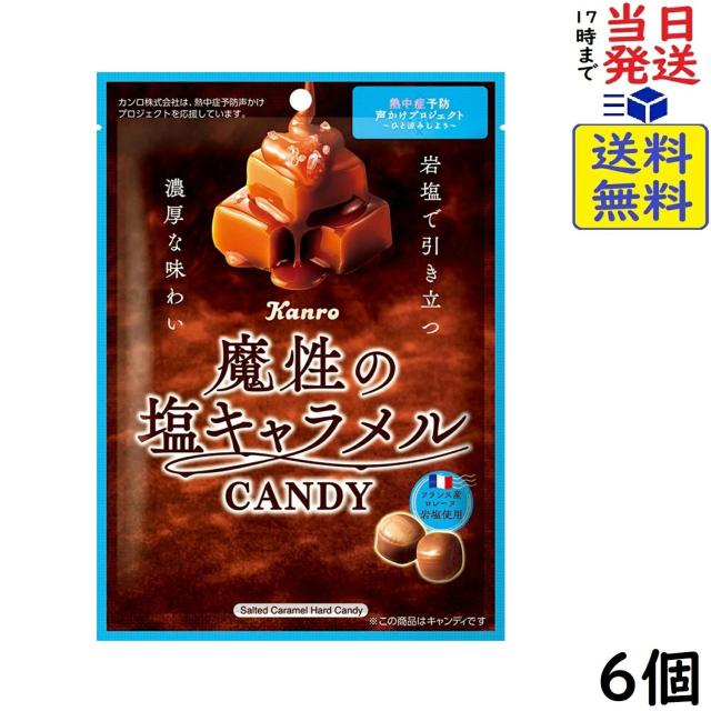 カンロ 魔性の塩キャラメルキャンディ 65g×6個 賞味期限2028/03の通販